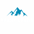 peaky leads (2)