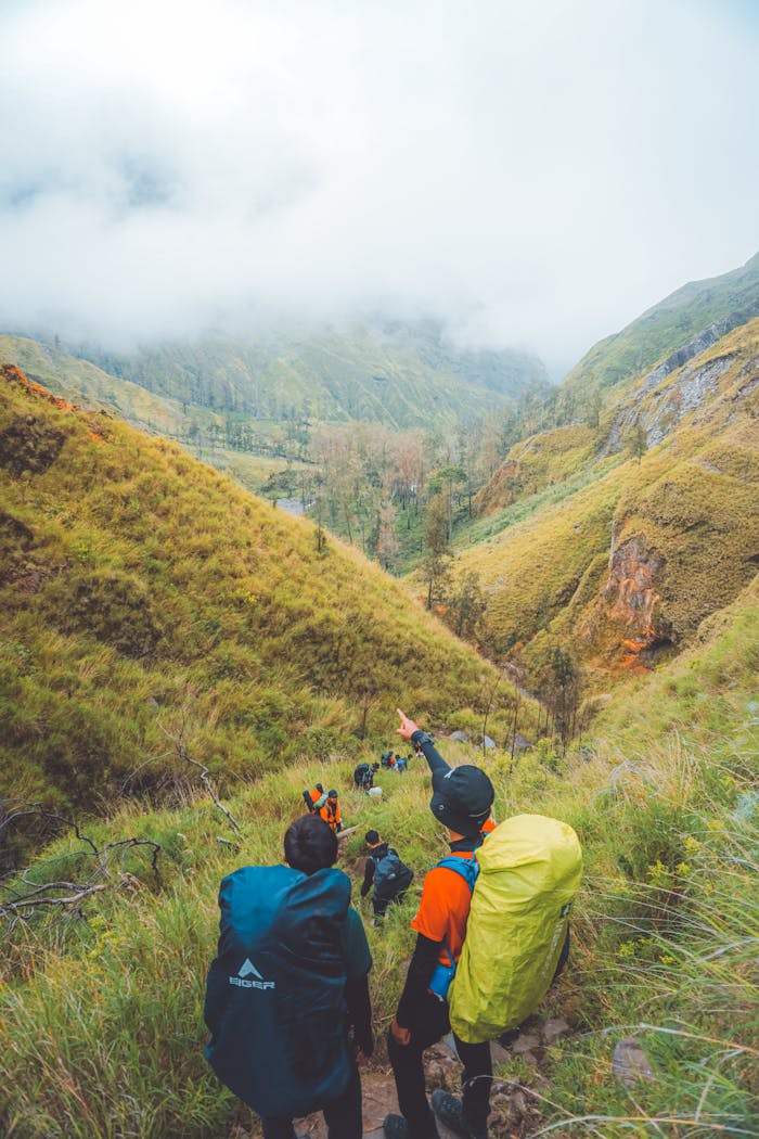portfolio-01 Hikers trek through a lush, misty mountain valley, showcasing adventurous outdoor exploration.